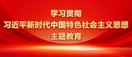 爱爱插出水了3p学习贯彻习近平新时代中国特色社会主义思想主题教育_fororder_ad-371X160(2)